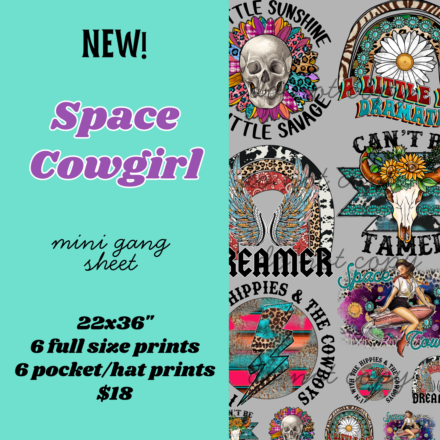 Space Cowgirl Mini Gang Sheet