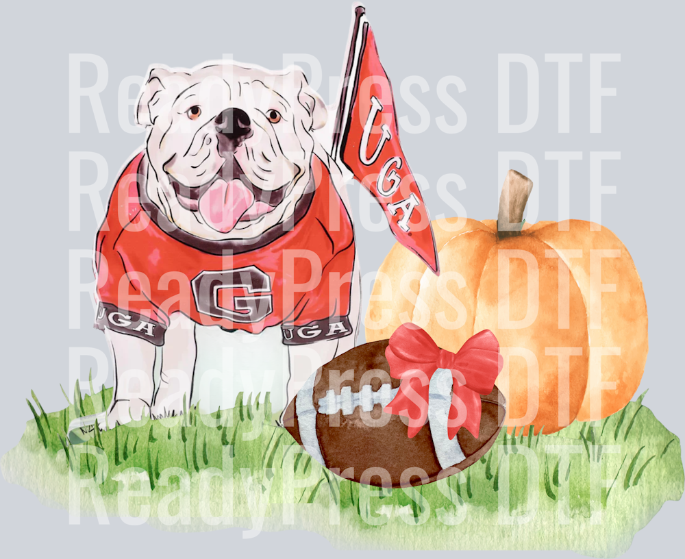 UGA pumpkin