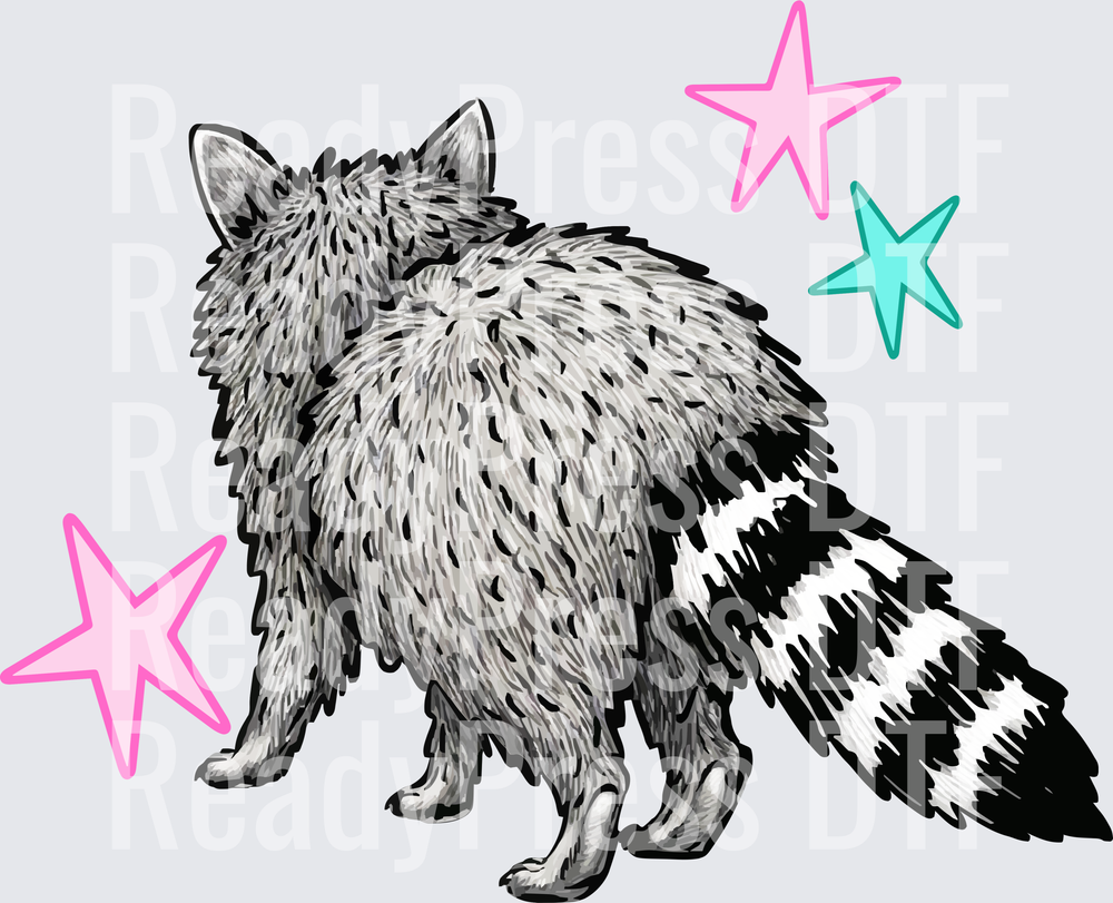 Raccoon Back